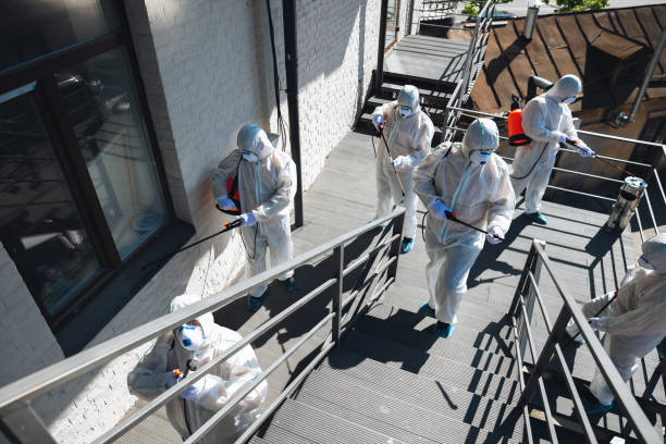 Best Biohazard Mold Removal  in K I Sawyer, MI