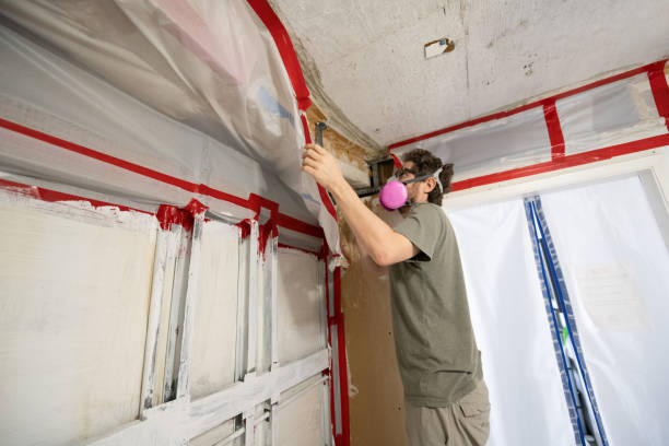 Best Crawl Space Mold Remediation  in K I Sawyer, MI