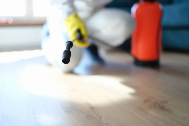 Best Basement Mold Removal  in K I Sawyer, MI