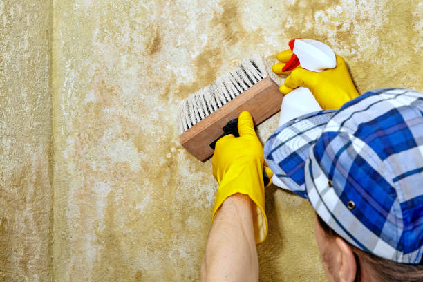 Best Indoor Air Quality Assessment  in K I Sawyer, MI