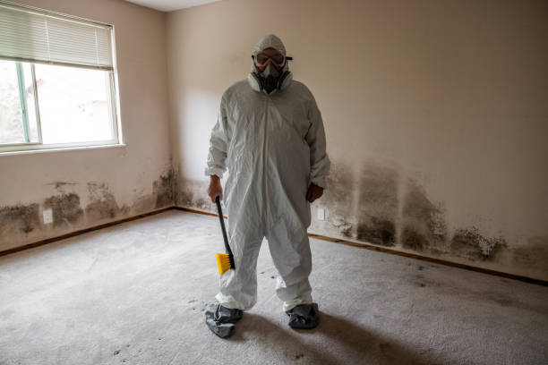 Best Residential Mold Inspection & Testing  in K I Sawyer, MI